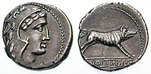 volteia roman coin denarius